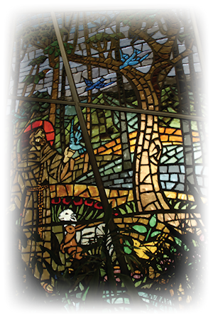 St Francis Stained Glass
